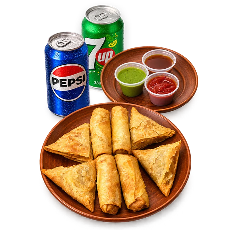 Crispy Samosa & Spring Roll